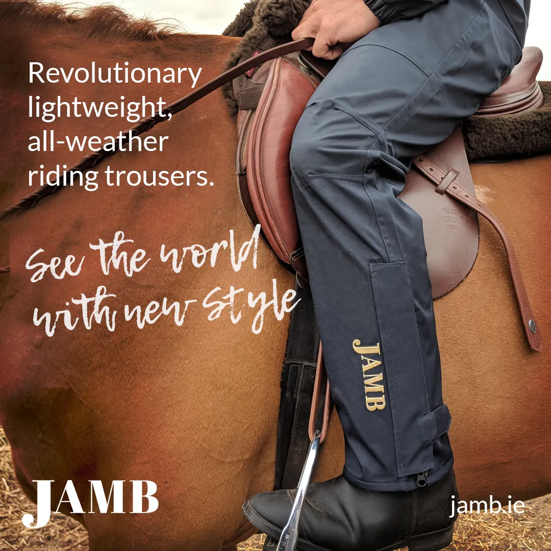 Adults All Weather Riding Trousers - Jamb