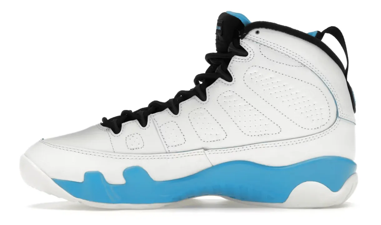 Air Jordan 9 Retro Powder Blue (2024)