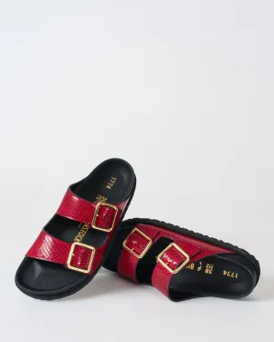 arizona snake leather