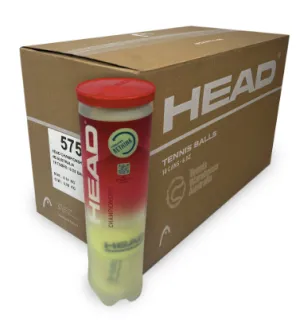 Head Championship 4 Ball Carton - 72 Ball