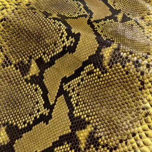 Python Glazed | Yellow Pattern | Long Tail Front Cut